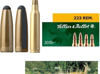 Cartus Sellier & Bellot Calibrul 223REM/Teilmantel/3.6 G